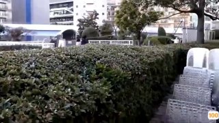 《泽泽奉上》最美最温柔的大学妹